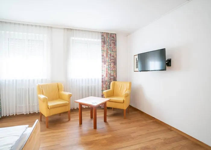 Altstadthotel Grauer Wolf מלון