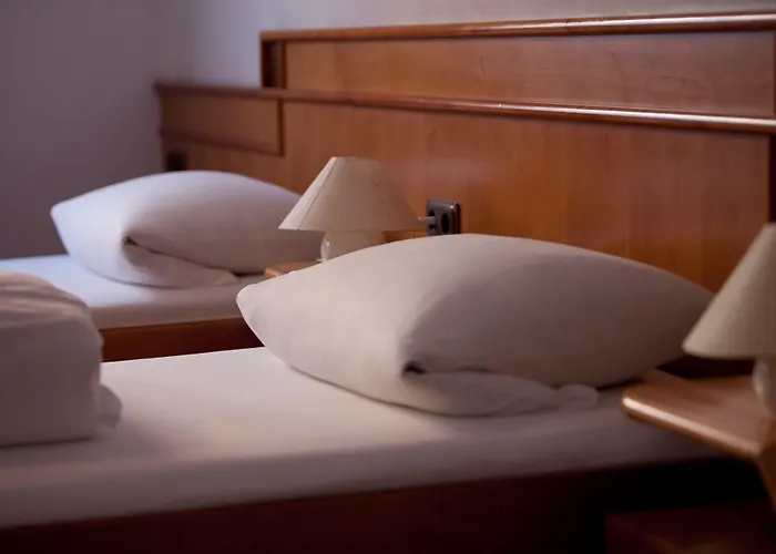 מלון Altstadthotel Grauer Wolf ארלנגן