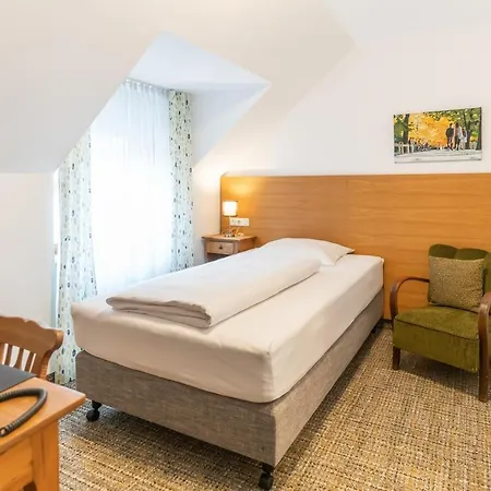 Altstadthotel Grauer Wolf 3*