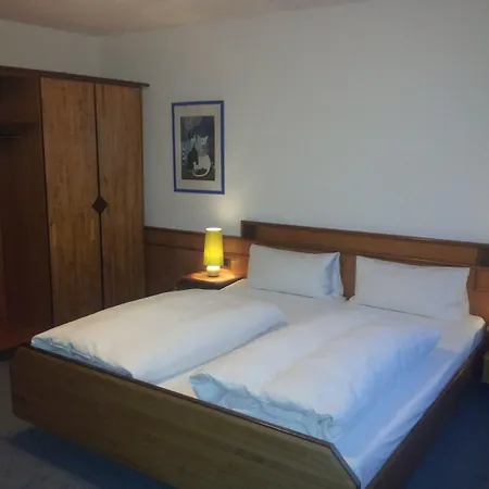 Altstadthotel Grauer Wolf 3*