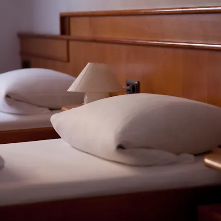 فندق Altstadthotel Grauer Wolf إرلانجن