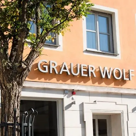 Altstadthotel Grauer Wolf 3* إرلانجن