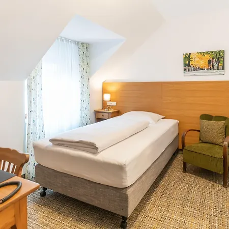 Altstadthotel Grauer Wolf فندق