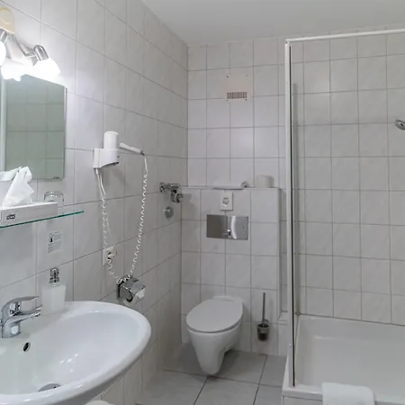ホテル Altstadthotel Grauer Wolf 3*