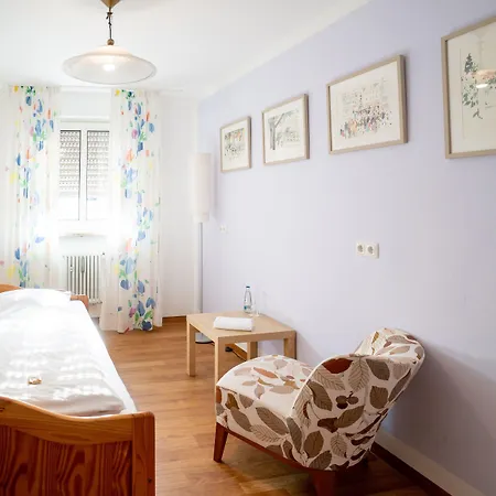 Altstadthotel Grauer Wolf فندق 3*