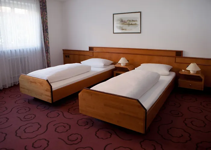 Altstadthotel Grauer Wolf 3* ארלנגן