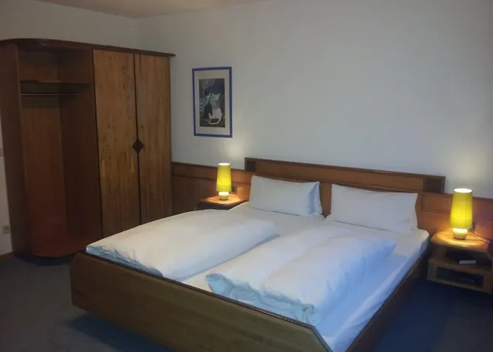 Altstadthotel Grauer Wolf 3*