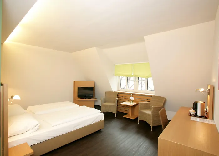 Altstadthotel Grauer Wolf מלון 3*