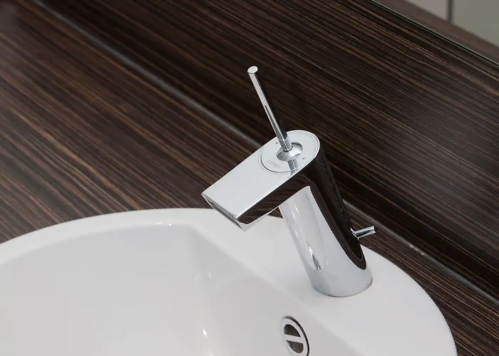 Altstadthotel Grauer Wolf מלון