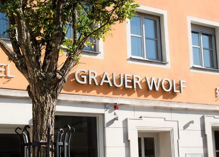 Altstadthotel Grauer Wolf 3* ארלנגן