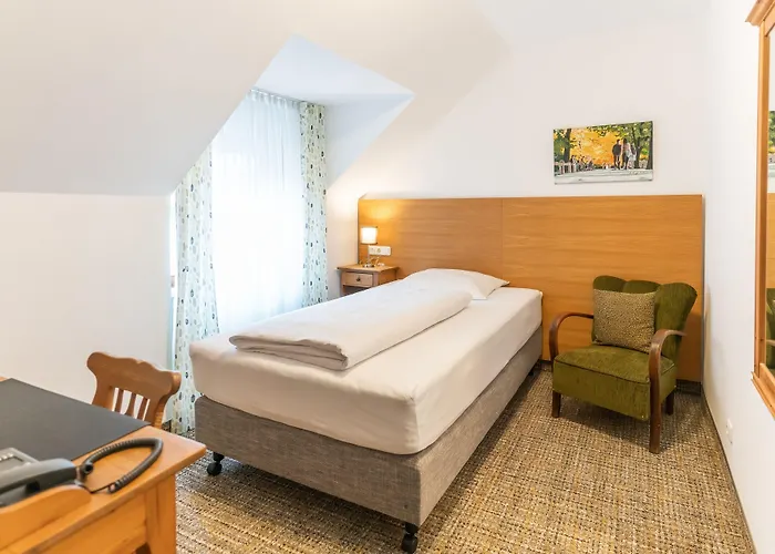 Altstadthotel Grauer Wolf מלון