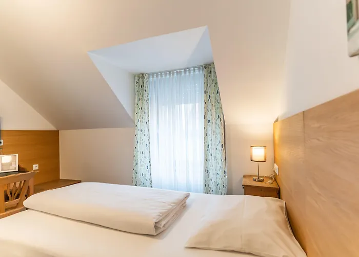 Altstadthotel Grauer Wolf מלון 3*