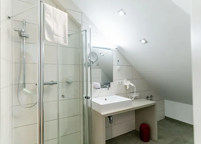 Altstadthotel Grauer Wolf 3*
